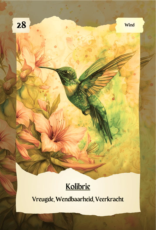 krachtdieren kaart Kolibrie
