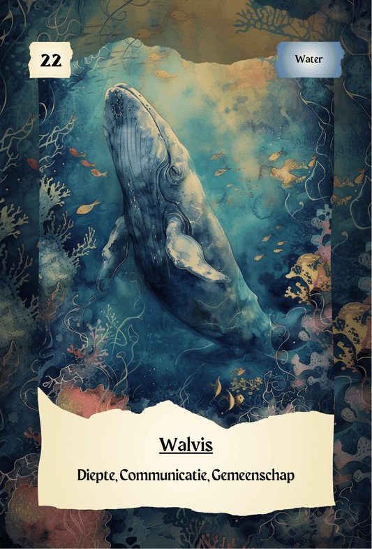 krachtdieren kaart Walvis