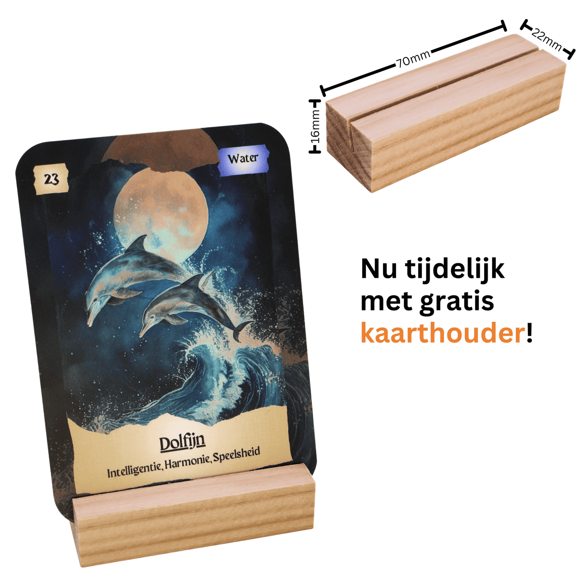 Elementaire krachtdieren - Luxe uitgave - 32 Krachtdierkaarten als gidsen voor innerlijke groei